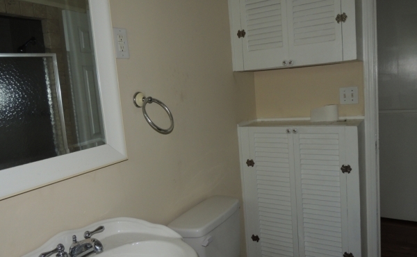 28 Main Bathroom Cabinets